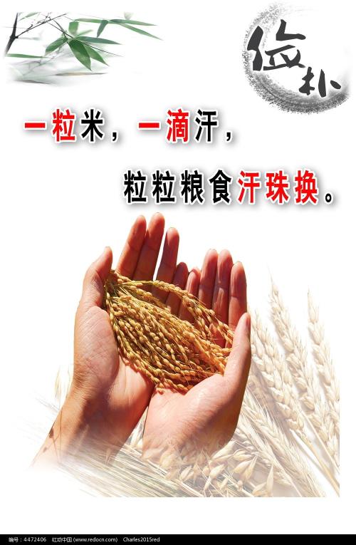 做个威斯康星州出生证明